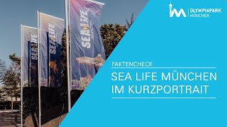 Sea Life München im Kurzportrait [upl. by Eihcir]