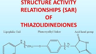 STRUCTURE ACTIVITY RELATIONSHIPS SAR OF THIAZOLIDINEDIONES [upl. by Annavoeg]