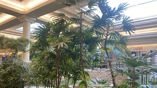 Indoor Palms at Market Mall Saskatoon [upl. by Isnan]