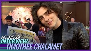 Timothée Chalamet Breaks Down His ChocolateInspired Look [upl. by Piane]