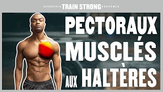 4 EXERCICES PECTORAUX avec haltères à la maison haut et bas des pecs [upl. by Dionis]