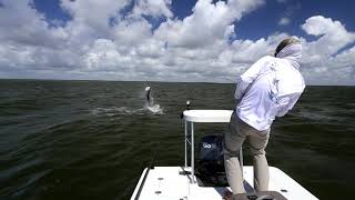 Fly Fishing for Big Tarpon in the Florida Everglades [upl. by Agiaf]