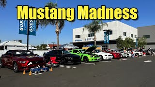 Mustang Madness All Ford Car Show 2023 Buena Park California [upl. by Eiramanel]