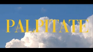 PALPITATE  PlayboidC OFFICIAL MV [upl. by Vasta808]