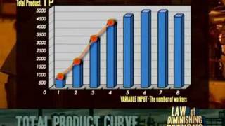 Diminishing Marginal Utility vs Law of Diminishing Returns [upl. by Gnos387]