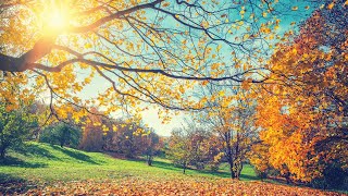 Relaxing and Soothing Autumn Music for 5 Minutes Mindfulness [upl. by Acyssej71]