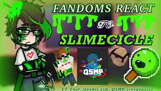 FANDOMS REACT TO SLIMECICLE 14 QSMP reaction\\ DESC [upl. by Spalla]