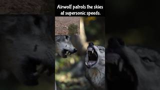 Wolf vs Airwolf absurdcomedywolf airwolf bbc planetearth wolves nature chopper 80s mrwolf [upl. by Hamas]