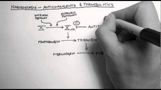 Haemostasis 3  Anticoagulants amp Thrombolytics [upl. by Hurless683]