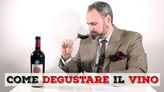 Come si degusta il VINO  Tutorial [upl. by Anaahs]