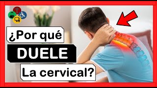 👀 ¿Te duele el cuello ¡CERVICALGIA  Cuales son las causas [upl. by Abram]