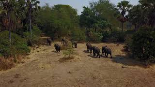 Mvuu Camp  Liwonde National Park  Malawi [upl. by Norven]