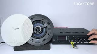 Lucky Tone CP560XL Rimless Kevlar Ceiling Speaker for CrystalClear Audio [upl. by Sixele153]