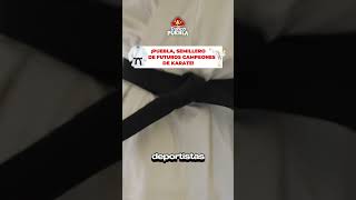 🥋 ¡Seminario Karate DO ShitoKai herramienta para el desarrollo de jóvenes Poblanos [upl. by Belldas]