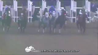 Hipódromo Camarero Live Stream [upl. by Hogle]