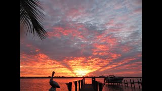 Siesta Key Live  Relaxing Sounds of Calm Waves and Island Life [upl. by Eardna951]