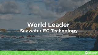 Seawater Electrochlorination Technology World Leader  De Nora [upl. by Assirrem]