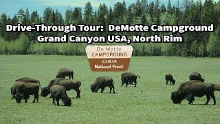 DeMotte Campground  Grand Canyon North Rim  DriveThru Tour [upl. by Anipsed]