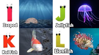 ABC Song  Sea Animals ABC Song  Phonics for Kids  Learn ABC Baby  Alphabet Letters [upl. by Croteau439]