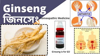 Ginseng  জিনসেং  Materia Medica  Learn Ginseng easily [upl. by Gilles]