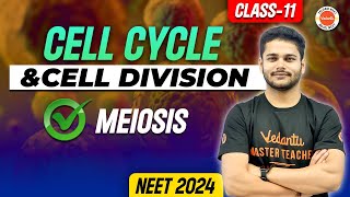 Cell Cycle And Cell Division Class 11 In One Shot  Meiosis  NEET Biology  NEET 2425 [upl. by Assirat]