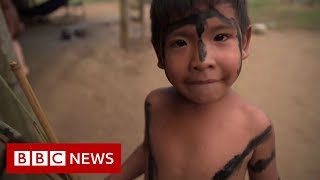 Amazon rainforest indigenous people in fight for survival BBC News [upl. by Falcone]