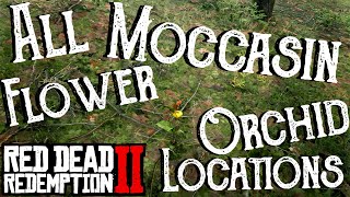 Red Dead Redemption 2  All 19 Moccasin Flower Orchid Locations Duchesses and Other Animals  RDR2 [upl. by Neufer145]