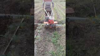 Mixer machine farming [upl. by Hgielyak]