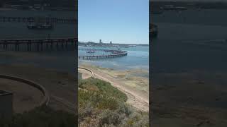 Geelong Australia Glimpses geelong beach travel holidays melbournelife aussie waterfront [upl. by Alimac70]