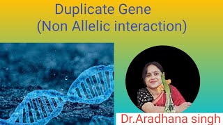 Duplicate Gene Non Allelic interaction [upl. by Curt]