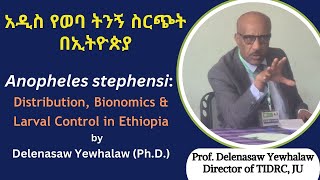 Anopheles stephensi distribution bionomics amp larval control in Ethiopia by Prof Delenasaw Yewhalaw [upl. by Agathe]