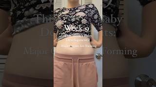 9 weeks pregnant baby development [upl. by Popelka]