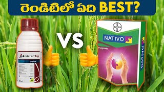 Amistar Top Vs Nativo  Amistar Top Syngenta  Azoxystorbing  Difenoconazole  Bayer Nativo Price [upl. by Jem]