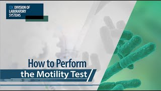 How to Perform the Motility Test [upl. by Killy848]