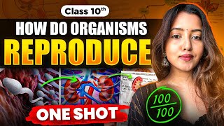 CLASS 10 HOW DO ORGANISMS REPRODUCE  BIOLOGY CLASS 10  SHUBHAM PATHAK science cbseclass10 bio [upl. by Jarrid]