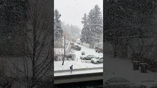 A slow motion clip of the snow fall in Canada canada snow [upl. by Idoj]