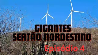 Passando pela caatinga do nordeste Ep04 canalchegaozoom [upl. by Frantz]