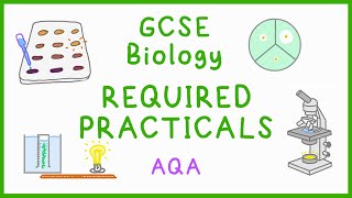 All BIOLOGY Required Practicals  GCSE Science AQA [upl. by Matthei828]