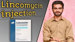 Lincomycin injection  uses side effects MOA contraindications doses  lincocin injection [upl. by Kariv]