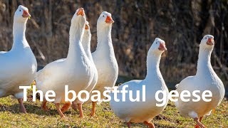 Short Story The boastful geese [upl. by Iuqcaj]