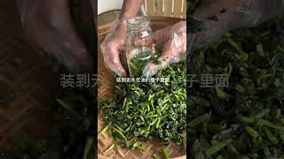 萝卜打下来的底叶拿来制作酸菜三碗米饭都嫌不够。关注我一起学种菜 种植小技巧 三农 [upl. by Gerita]