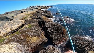 JETTY FISHING and SURFING Crescent City [upl. by Vallonia989]