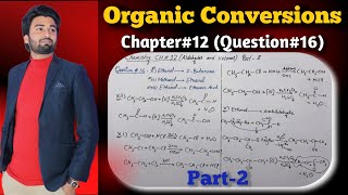 Conversion Reactions in Organic Chemistry  Important Conversions  Class 12 Chapter 12 Conversions [upl. by Damales]