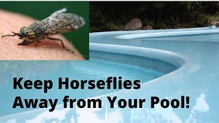 How to Keep BloodThirsty Horseflies Away from Your Pool [upl. by Asit164]