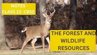 Forest and wildlife resources class 10 cbse notes  cbse [upl. by Colet]