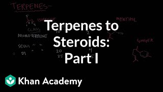 From terpenes to steroids part 1 Terpenes  Endocrine system physiology  NCLEXRN  Khan Academy [upl. by Salaidh784]