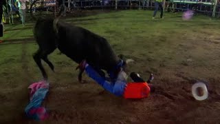 LLEGO LA PALMA Y SUS TOROS MEXICANOS En San Jose Platanar Puebla 2023 [upl. by Gemma539]