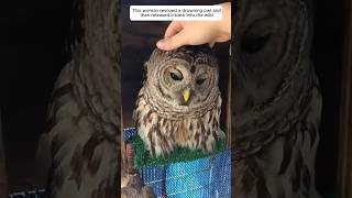 This woman rescued a drowning owl and then released it back into the wild animalshorts [upl. by Amalberga]