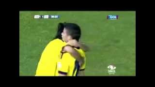 paraguay vs colombia eliminatorias 2014 gol caracol [upl. by Annaet]