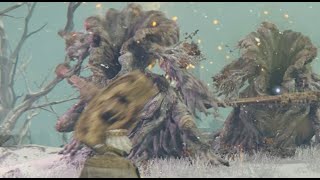 Erdtree Avatar Mountaintops of the Giants Boss Fight [upl. by Nodnil]